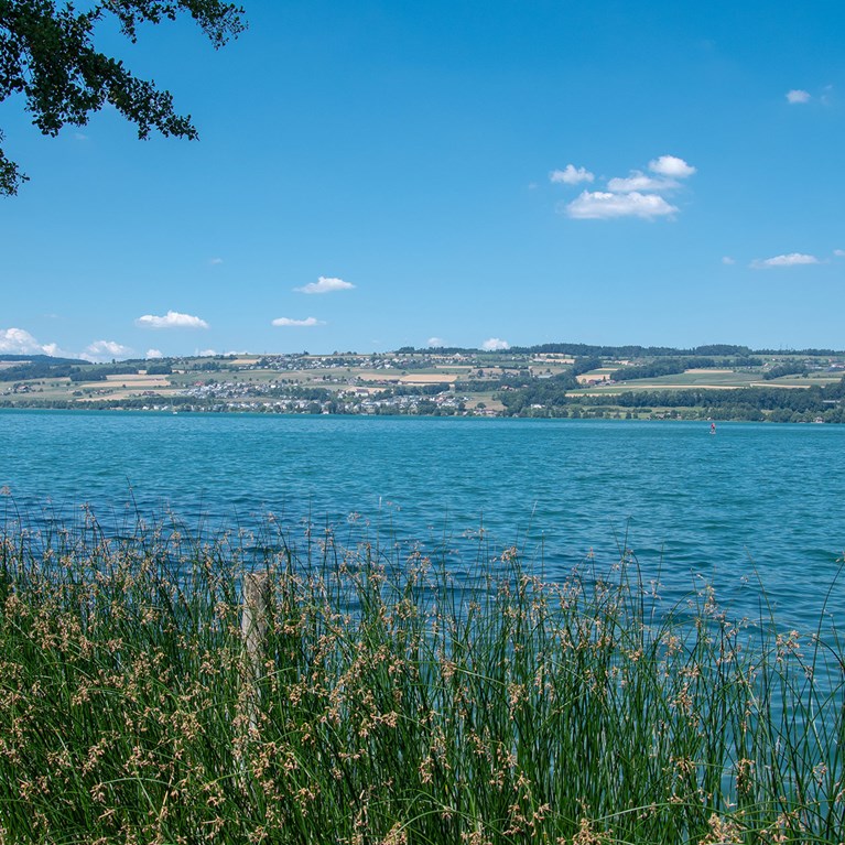 sempachersee